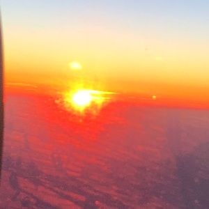 Meet your Posher, Addison